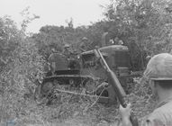 울창한 정글을 뚫고 길을 만들고 있는 십자성 부대 썸네일 이미지